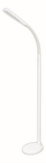 OD190FLW LED Floor Lamp