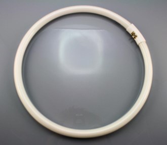 T5 Circular Fluorescent Tube
